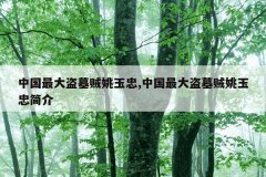 中国最大盗墓贼姚玉忠,中国最大盗墓贼姚玉忠简介