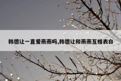 韩德让一直爱燕燕吗,韩德让和燕燕互相表白