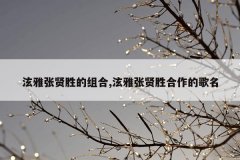 泫雅张贤胜的组合,泫雅张贤胜合作的歌名
