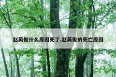 赵英俊什么原因死了,赵英俊的死亡原因