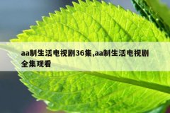 aa制生活电视剧36集,aa制生活电视剧全集观看