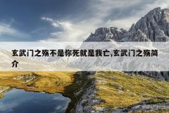 玄武门之殇不是你死就是我亡,玄武门之殇简介