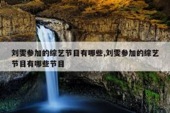 刘雯参加的综艺节目有哪些,刘雯参加的综艺节目有哪些节目