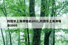 刘德华上海演唱会2011,刘德华上海演唱会2008
