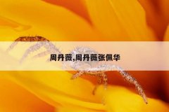 周丹薇,周丹薇张佩华