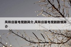 风和日丽电视剧简介,风和日丽电视剧剧情简介