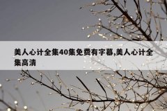 美人心计全集40集免费有字幕,美人心计全集高清