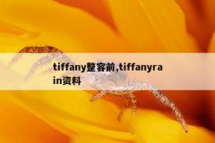 tiffany整容前,tiffanyrain资料