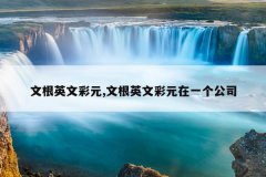文根英文彩元,文根英文彩元在一个公司