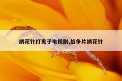 绣花针打鬼子电视剧,战争片绣花针