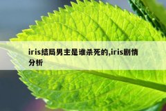 iris结局男主是谁杀死的,iris剧情分析