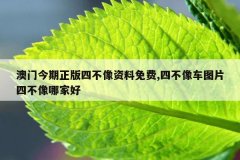 澳门今期正版四不像资料免费,四不像车图片四不