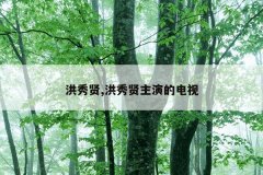 洪秀贤,洪秀贤主演的电视