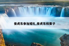 姜虎东参加婚礼,姜虎东和妻子