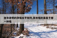 张也老师的演唱水平如何,张也唱的是属于哪一种唱