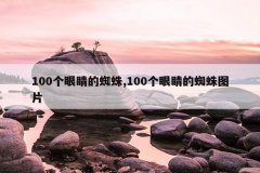 100个眼睛的蜘蛛,100个眼睛的蜘蛛图片
