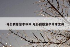 电影我愿意李冰冰,电影我愿意李冰冰主演