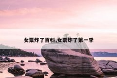 女票炸了百科,女票炸了第一季