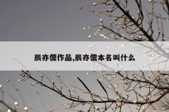 辰亦儒作品,辰亦儒本名叫什么