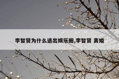 李智贤为什么退出娱乐圈,李智贤 离婚