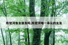 陈楚河有女朋友吗,陈楚河唯一承认的女友