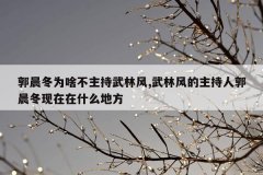 郭晨冬为啥不主持武林风,武林风的主持人郭晨冬现在在什么地方