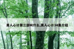 美人心计第三部叫什么,美人心计34集介绍