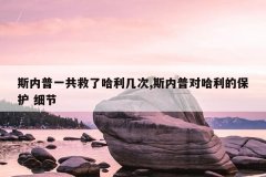 斯内普一共救了哈利几次,斯内普对哈利的保护