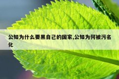公知为什么要黑自己的国家,公知为何被污名化