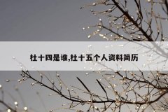 杜十四是谁,杜十五个人资料简历