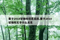 妻子2018甘雅和塔恩结局,妻子2018甘雅和瓦辛什么