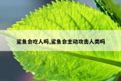 鲨鱼会吃人吗,鲨鱼会主动攻击人类吗
