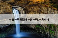 一肖一码期期准一肖一码,一肖中特