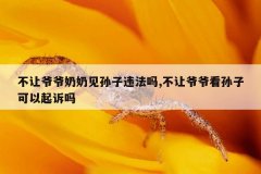 不让爷爷奶奶见孙子违法吗,不让爷爷看孙子可以