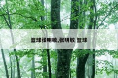 篮球张明敏,张明敏 篮球