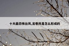 十大最恐怖台风,龙卷风是怎么形成的