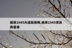 彼岸1945大结局视频,彼岸1945演员表是谁