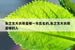 朱之文大衣哥是哪一年出名的,朱之文大衣哥是哪