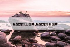 巨型龙虾王图片,巨型龙虾的图片