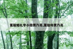 董璇婚礼李小璐贾乃亮,董璇和贾乃亮