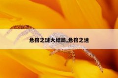 悬棺之谜大结局,悬棺之迷