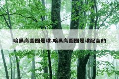 暗黑高圆圆是谁,暗黑高圆圆是谁配音的