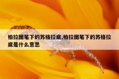 柏拉图笔下的苏格拉底,柏拉图笔下的苏格拉底是