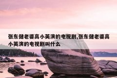 张东健老婆高小英演的电视剧,张东健老婆高小英