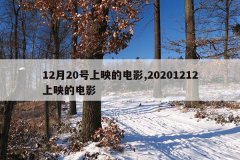 12月20号上映的电影,20201212上映的电影