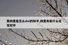 第四爱是怎么doi的知乎,四爱有些什么社交软件