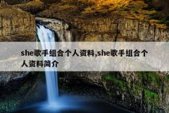 she歌手组合个人资料,she歌手组合个人资料简介