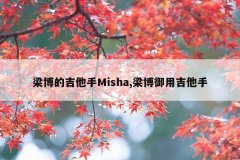 梁博的吉他手Misha,梁博御用吉他手