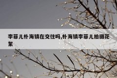 李菲儿朴海镇在交往吗,朴海镇李菲儿拍摄花絮