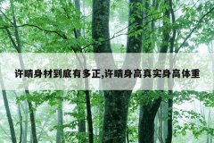 许晴身材到底有多正,许晴身高真实身高体重